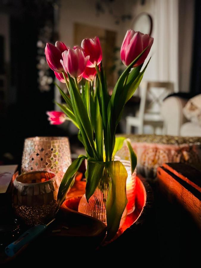 Schlafen Im Atelier - Einzigartiges Gaestezimmer Am Ammersee Apartment Шондорф-ам-Амерзее Екстериор снимка
